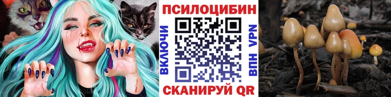 Галлюциногенные грибы Psilocybe Чехов