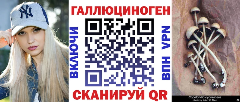 Псилоцибиновые грибы мухоморы  Чехов 